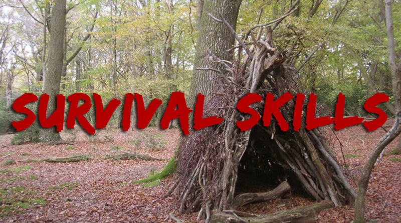 survival skills thumbnail