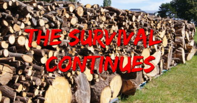 TheSurvivalContinues