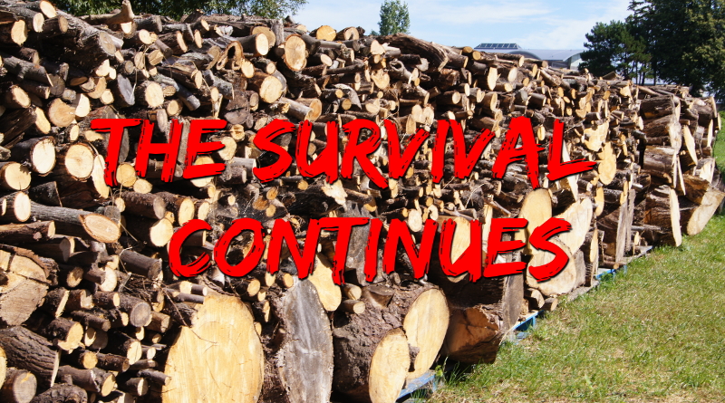 TheSurvivalContinues